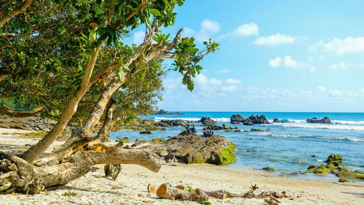 Pantai Wediombo, Sumber : pantainesia.com