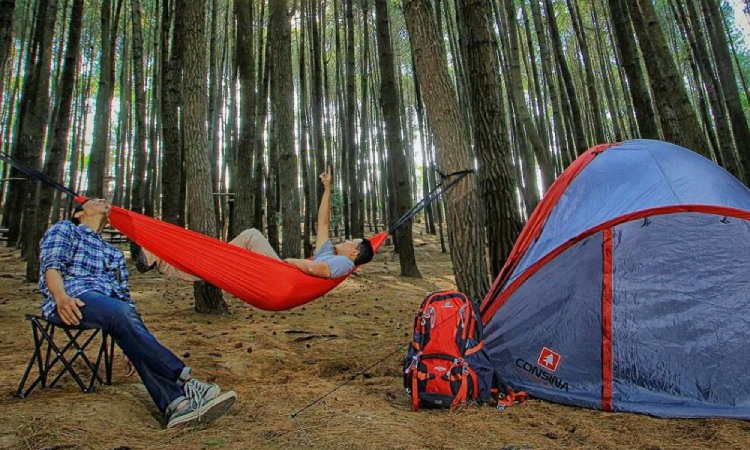 Fasilitas camping site di Hutan Pinus, Sumber: pariwisataku.com