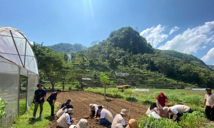 Aktivitas di Desa Wisata Sriharjo, Sumber: antaranews.com