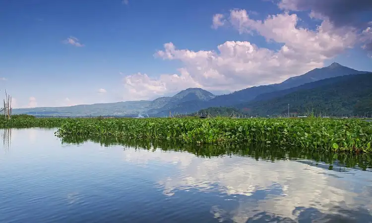 Rawa Pening, Sumber: cloudfront.net