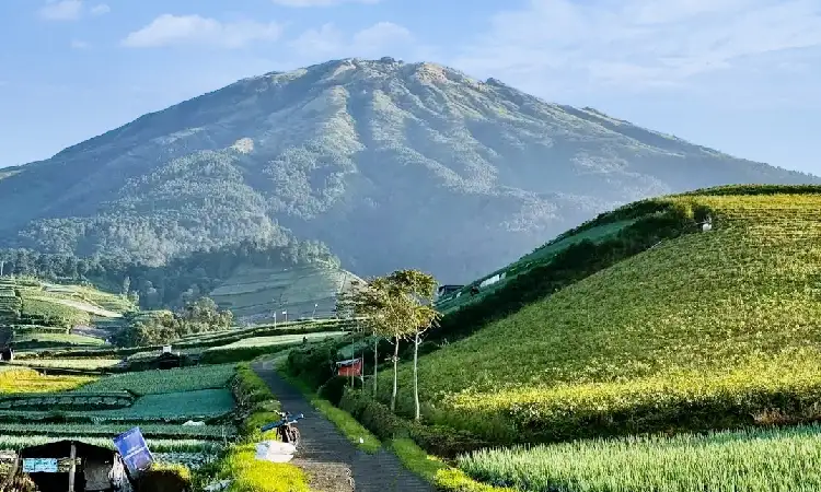 Pemandangan indah untuk dijadikan spot foto, Sumber: googleusercontent.com