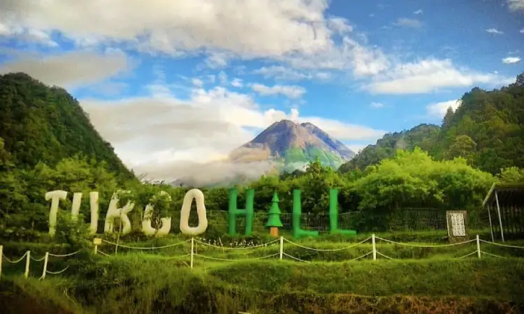 Bukit Turgo, Sumber: rentalmobiljogja.id