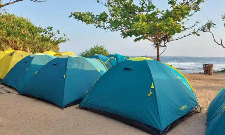 Pantai Watu Kodok, Sumber: agoda.net