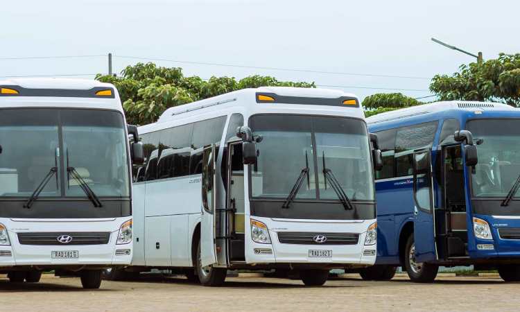 Mobil study tour, Sumber: pexels.com