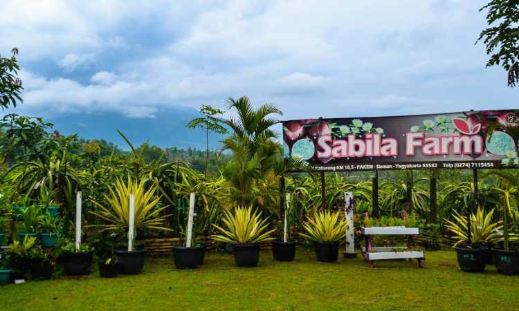 Sabila Farm, Sumber: facebook.com